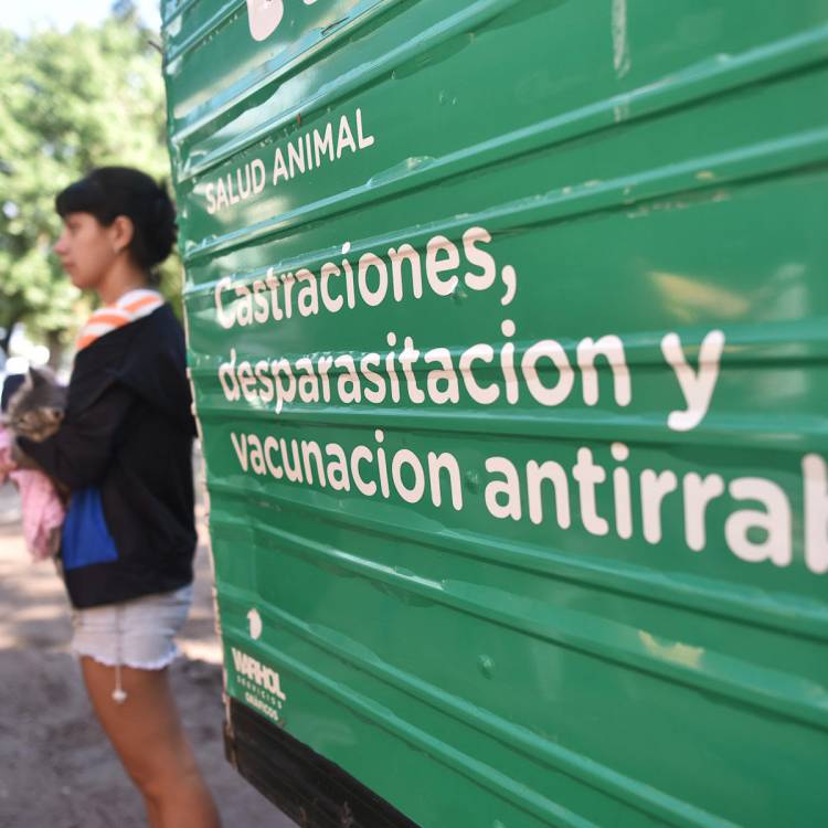 El IMUSA realizará castraciones masivas en barrio Acería