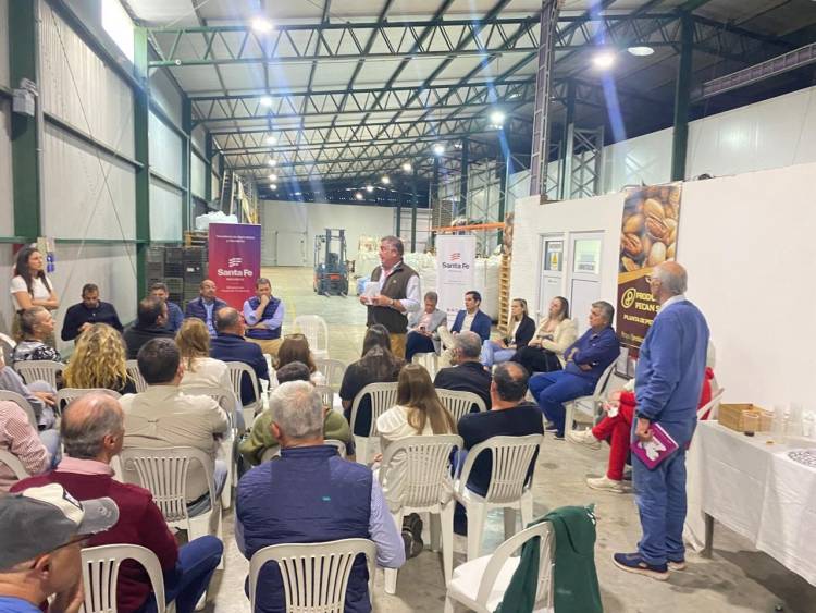 Santa Fe impulsa la producción de nuez pecán con el lanzamiento de la primera Mesa Provincial para el sector