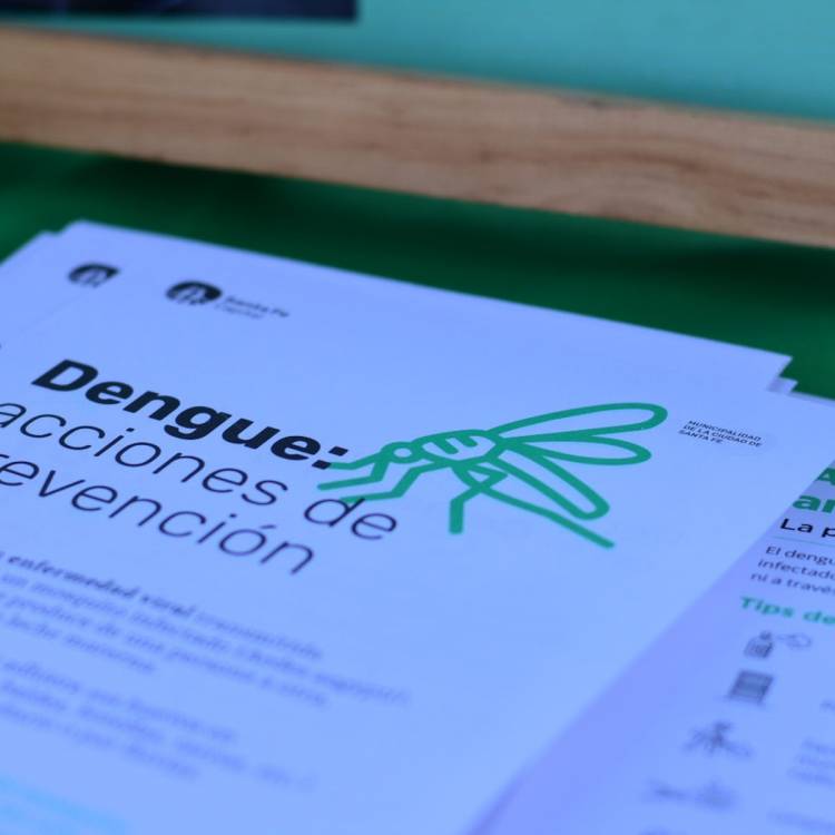 Dengue: se confirmó la presencia del vector en 16 barrios de la ciudad de Santa Fe
