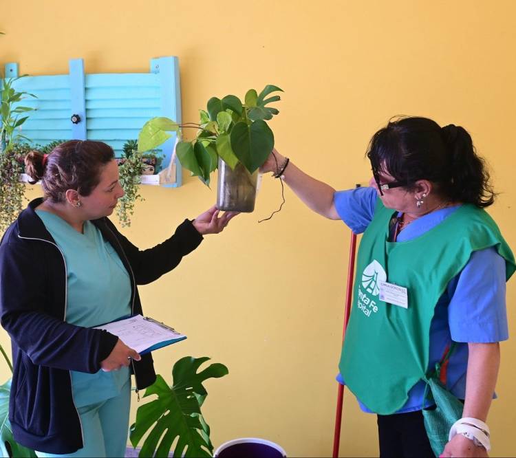 Dengue: son once los barrios donde se encontró la presencia del vector transmisor