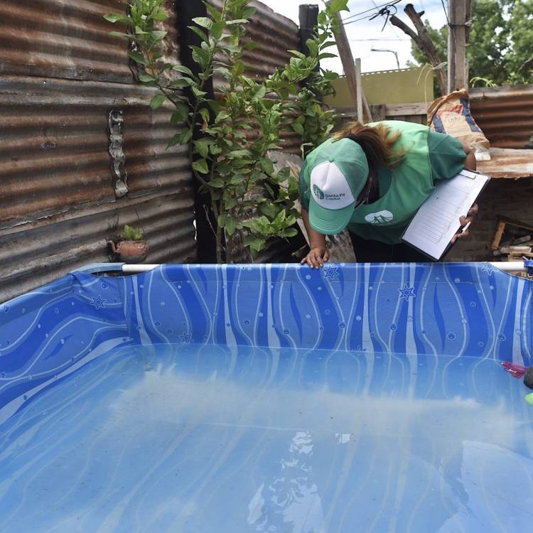 Dengue: se confirmó la presencia del vector en 23 barrios de la ciudad de Santa Fe