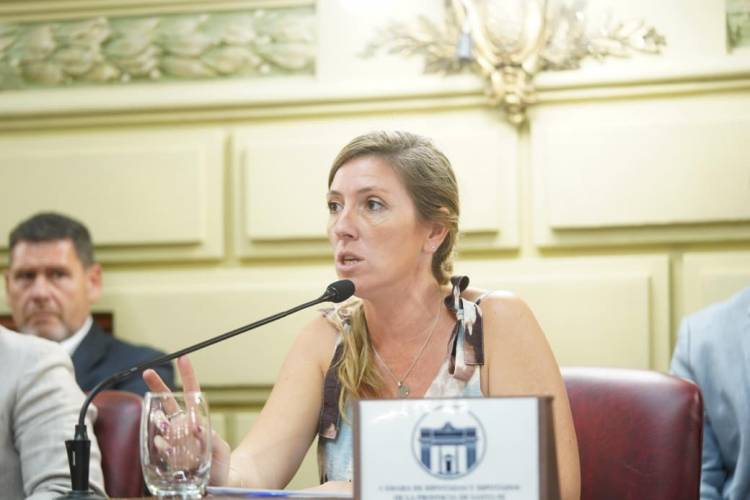 Armas Belavi dijo que la tributaria 2026 trae aumentos abusivos