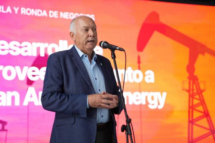 Vaca Muerta: por impulso de la Provincia, más de 200 empresas santafesinas se capacitaron para ser proveedoras de Pan American Energy