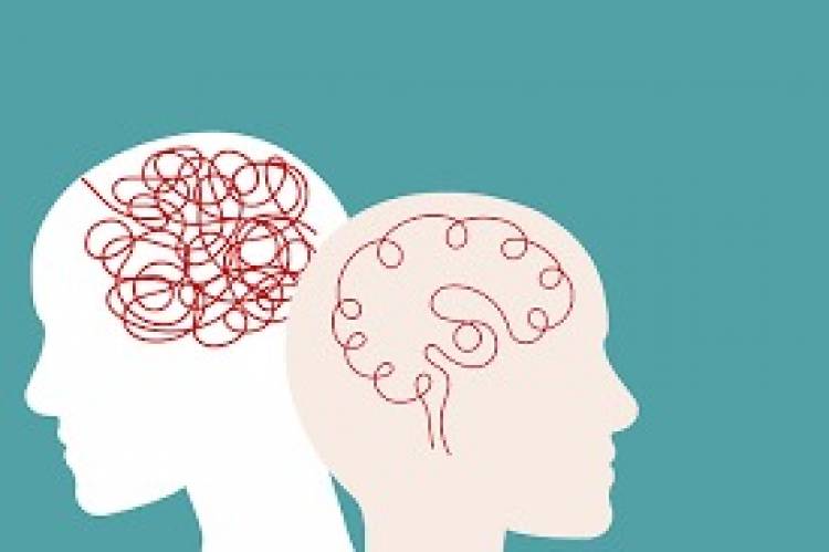 Salud Mental: once Provincias exigen a Nación que reanude los Consejos Federales