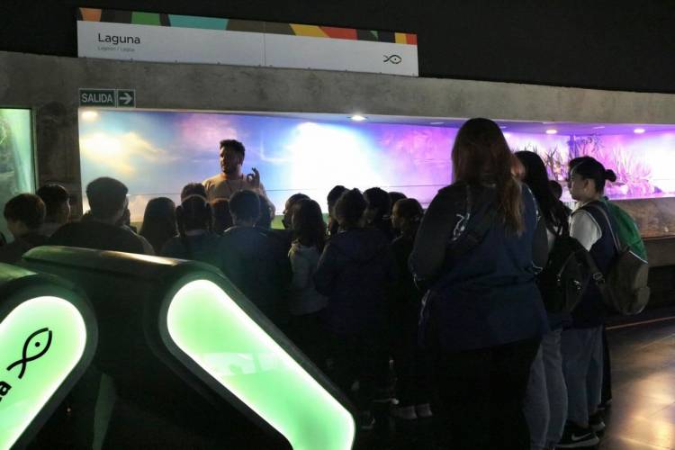 Con más de 110.000 visitantes, el Acuario del Río Paraná fortaleció su impacto educativo y territorial