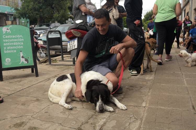  El Imusa castró y vacunó a más de 120 animales de compañía en barrio Centenario