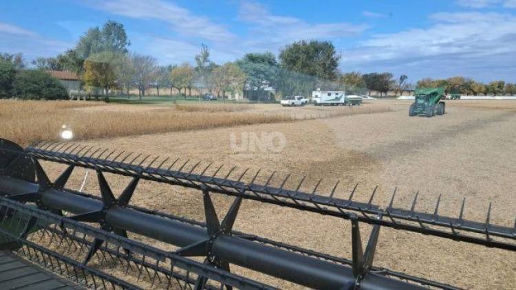 Para la Bolsa de Comercio de Santa Fe, el acuerdo Mercosur–UE "beneficia a toda la cadena productiva"