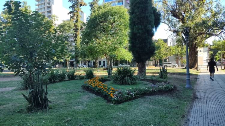 La ciudad se transforma con más de 100 nuevos canteros y una fuerte apuesta a la infraestructura verde