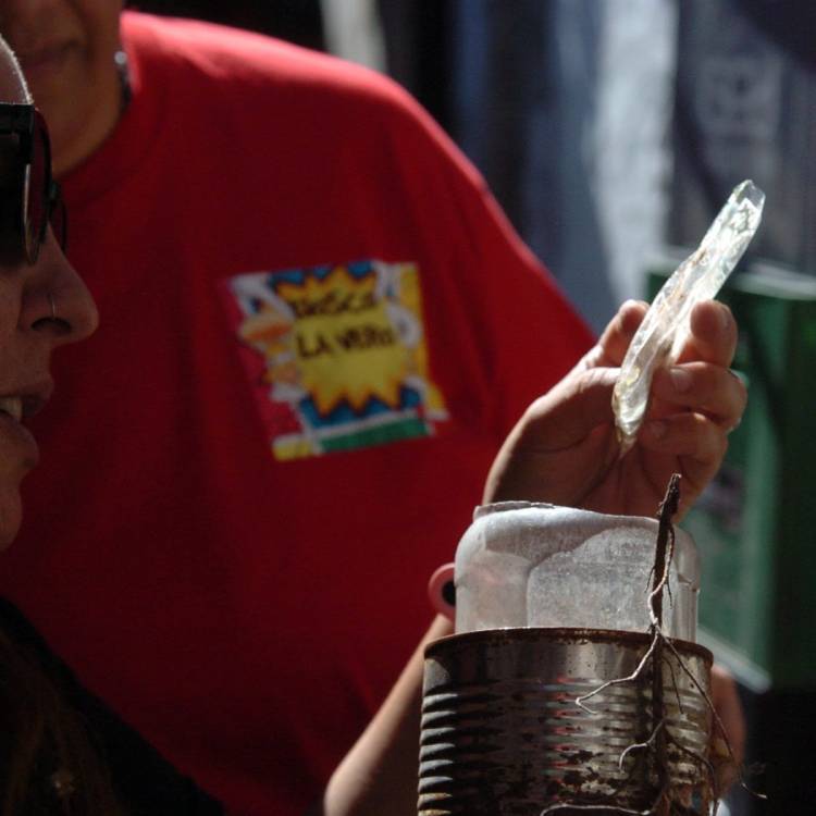 Dengue: se confirmó la presencia del vector en 30 barrios de la ciudad de Santa Fe