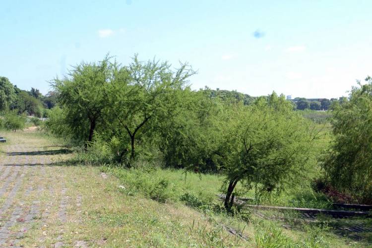 La Municipalidad realizará trabajos de mantenimiento en el talud de la Costanera Oeste