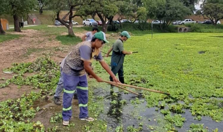 Se intensifica la limpieza y el mantenimiento del lago del Parque del Sur previo al fin de semana largo
