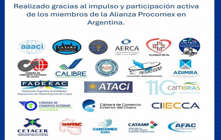 Diagnóstico de Fronteras y Estrategia de Mejora Continua para el Comercio Exterior Argentino 
