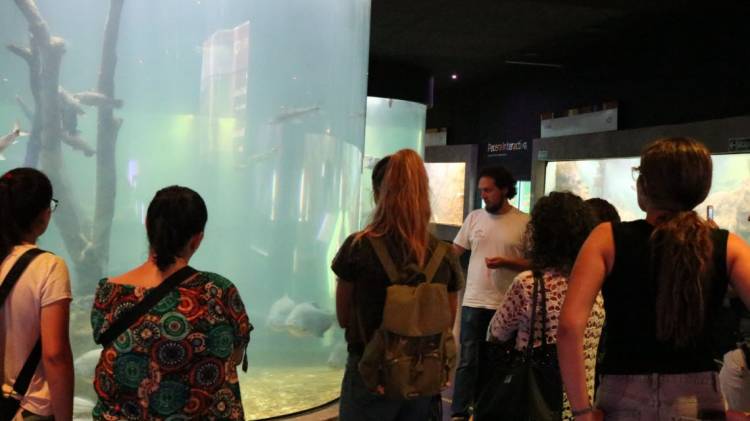 El Acuario del Río Paraná celebra su 8° aniversario con actividades abiertas y gratuitas para toda la familia