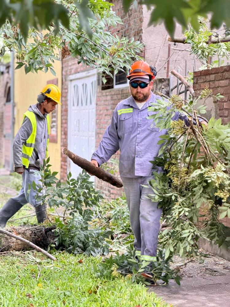 La Municipalidad trabaja ante las condiciones climáticas que afectaron a la ciudad