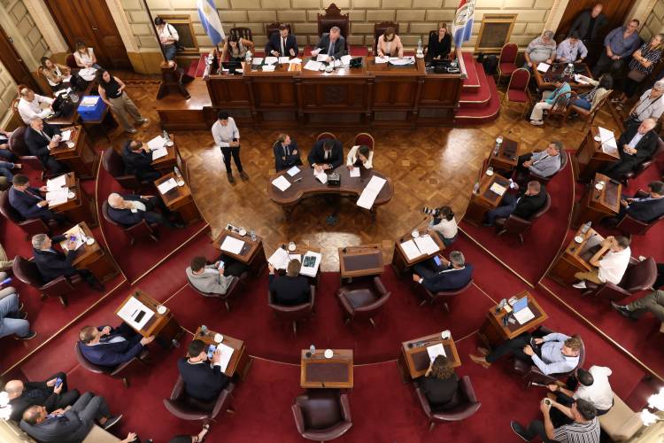 Michlig: “Con la media sanción de la nueva Ley Orgánica de Municipios estamos dando un paso histórico”