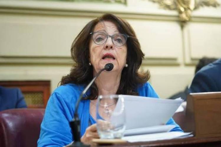 Piden el tratamiento urgente de la Emergencia Pública en Salud Mental en Santa Fe