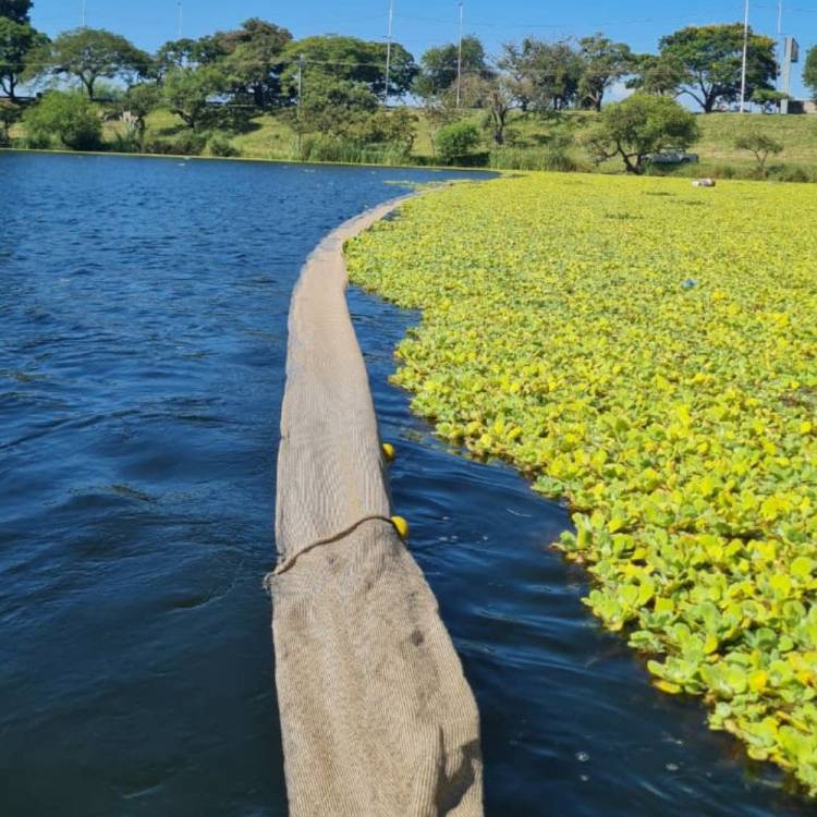 La Municipalidad avanza en la limpieza del lago del Parque del Sur