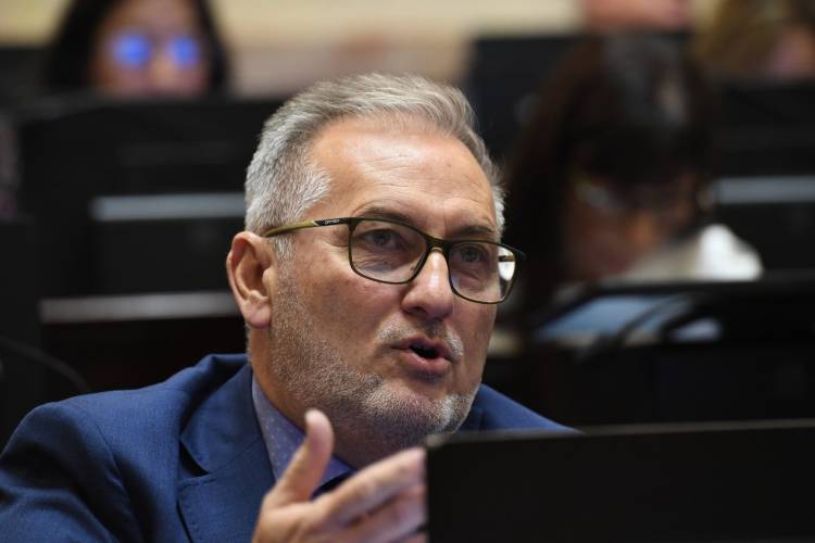 Lewandowski reclamó tratar el proyecto sobre tasas de interés de tarjetas y completar la conformación de Comisiones