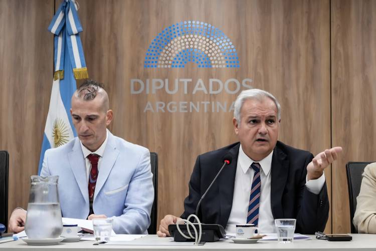 La Comisión de Pequeñas y Medianas Empresas de la Cámara de Diputados convocó a instituciones del sector