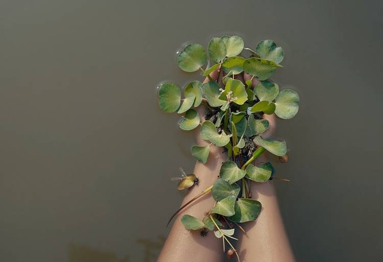 La Casa Museo César López Claro invita a la activación “Cuerpos en deriva”