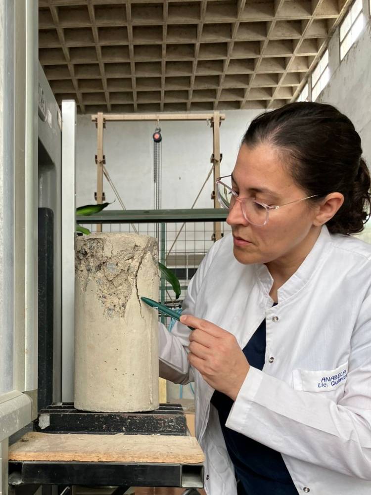 Científicas argentinas logran reparar fisuras en el hormigón con bacterias