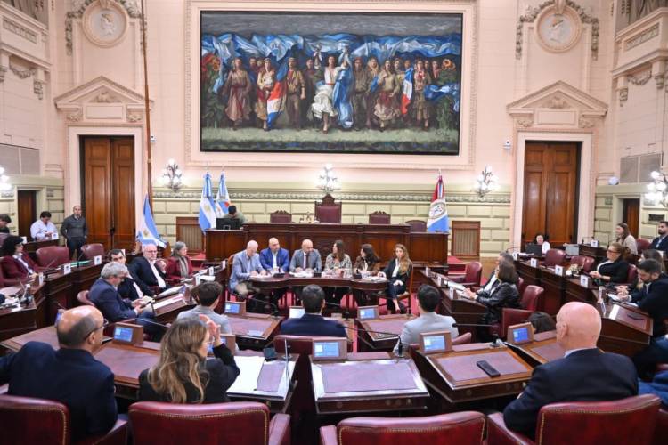 Puccini detalló a legisladores las gestiones por la concesión de la hidrovía, puso foco en Rosario y adelantó el nuevo Puerto de Villa Ocampo* 