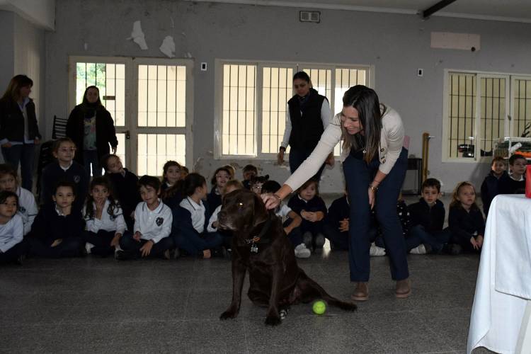 En el Día del Animal, IMUSA promueve la tenencia responsable en las escuelas