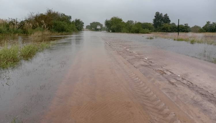 Santa Fe declaró la emergencia agropecuaria en el norte provincial y dispuso alivios impositivos para productores afectados