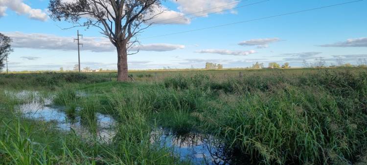 La Rural de Rafaela convoca a una mesa de diálogo sobre infraestructura e inseguridad