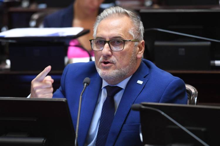 Crisis del sistema de transporte: Lewandowski exige explicaciones al Gobierno Nacional