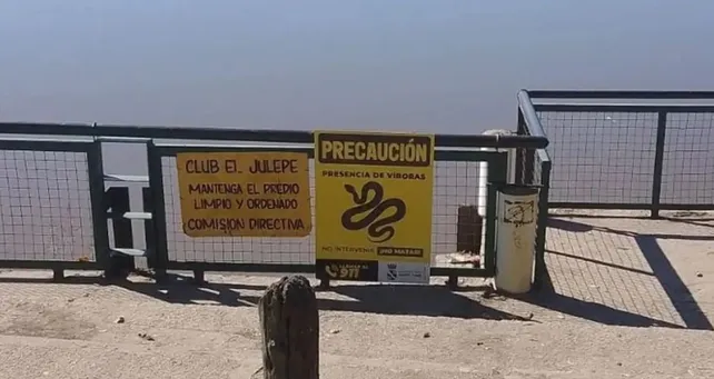 Un experto explica por qué aparecen serpientes en la costanera de Santo Tomé y qué hacer al encontrarlas