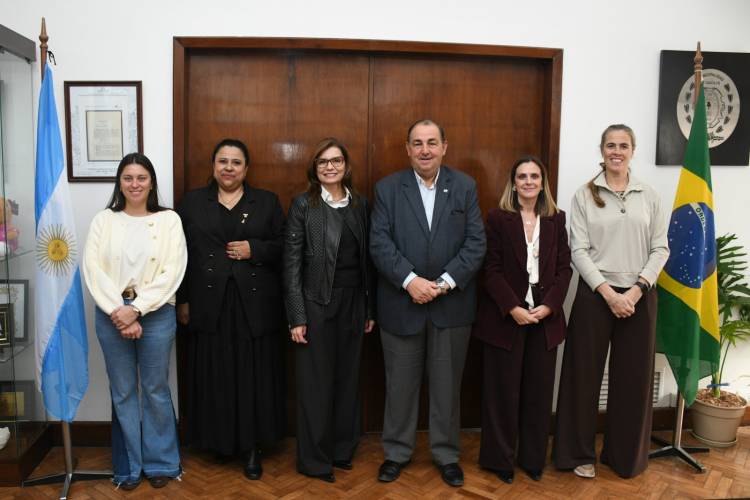 Cooperación Sur-Sur: Poletti recibió a una delegación técnica de Porto Alegre