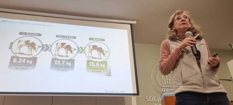 Los controles a tiempo en la crianza de terneros evitan consecuencias profundas en el futuro del rodeo