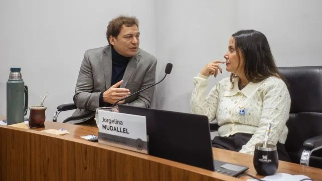 Del tope al congelamiento: concejales presentan una nueva propuesta para aliviar el costo del transporte
