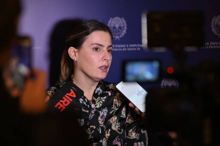 Cattalini: "Santa Fe exigirá ficha limpia a quienes hagan negocios con el Estado"