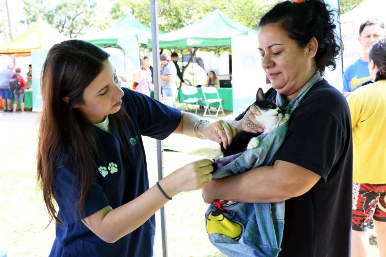 Barrio El Pozo tendrá una jornada municipal con servicios para vecinos y vecinas 