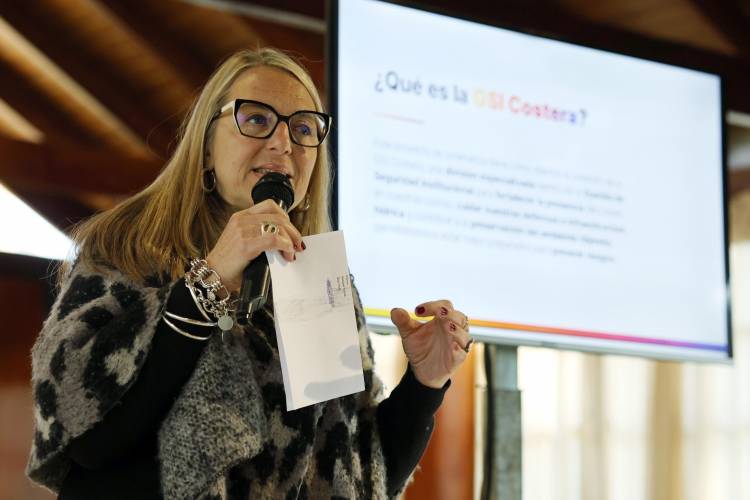 Proponen crear la GSI Costera y fortalecer el cuidado de las defensas hídricas de la ciudad
