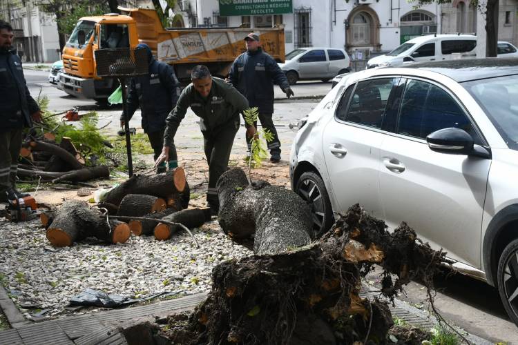 Luego de la tormenta, la Municipalidad atiende incidencias en toda la ciudad
