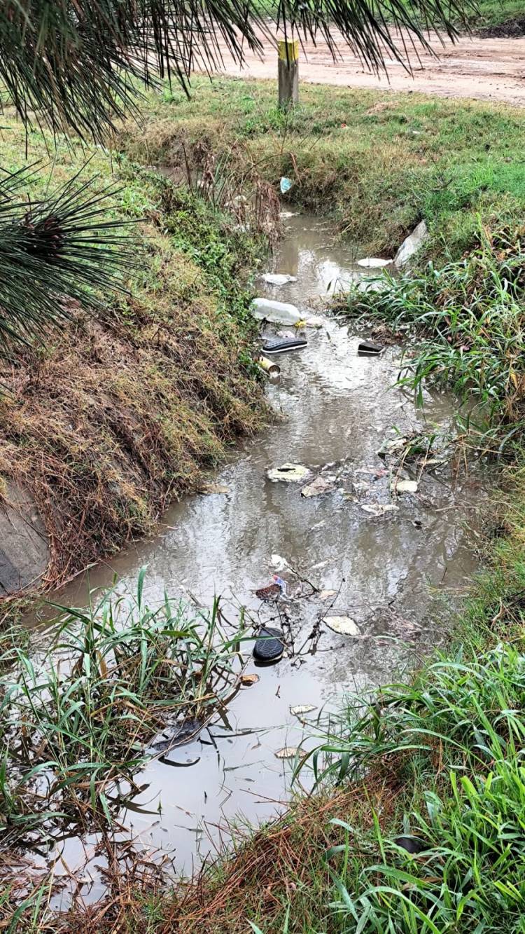 Desagües obstruidos y calles anegadas: vecinos de Colastiné Norte reclaman mantenimiento y un plan de contingencia