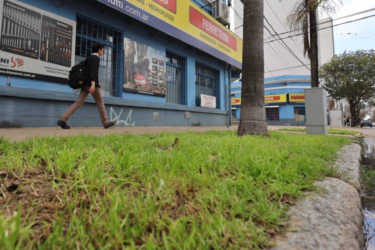 Habilitan a comercios a utilizar la cinta verde para colocar cartelería