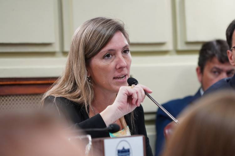 Controles a geríatricos: solicitan auditorías urgentes en las residencias de la provincia