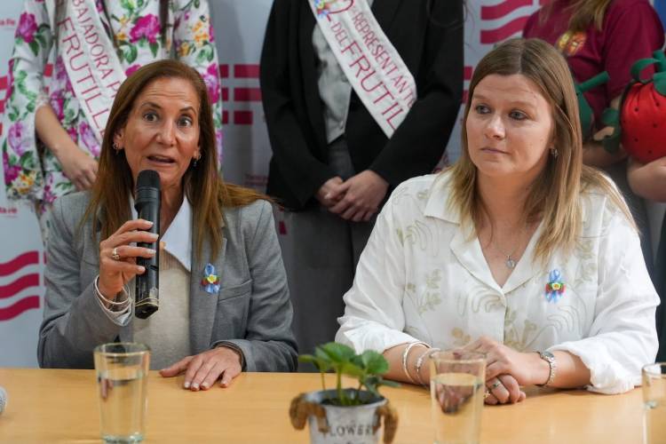 El Gobierno Provincial acompaña la séptima Fiesta del Frutillero en Desvío Arijón