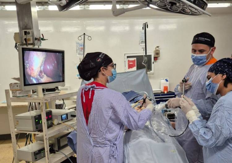 Salud Pública santafesina: en diez días, diez hospitales de alta complejidad realizarán más de 300 cirugías de vesícula y amígdalas