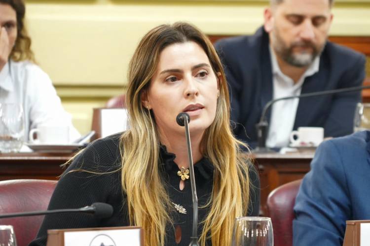 Cattalini: "Dimos un paso importante para que se cumpla la cuota alimentaria en Santa Fe"