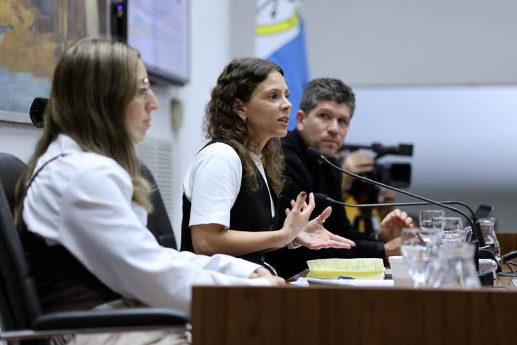 Autonomía y transformación digital: Santa Fe puso el tema en debate  